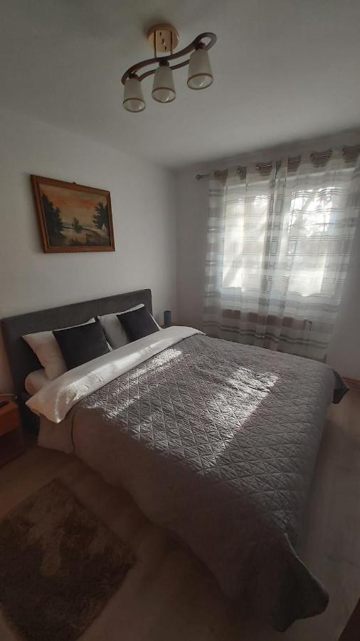Relax Apartament Apartment Satu Mare Exterior photo